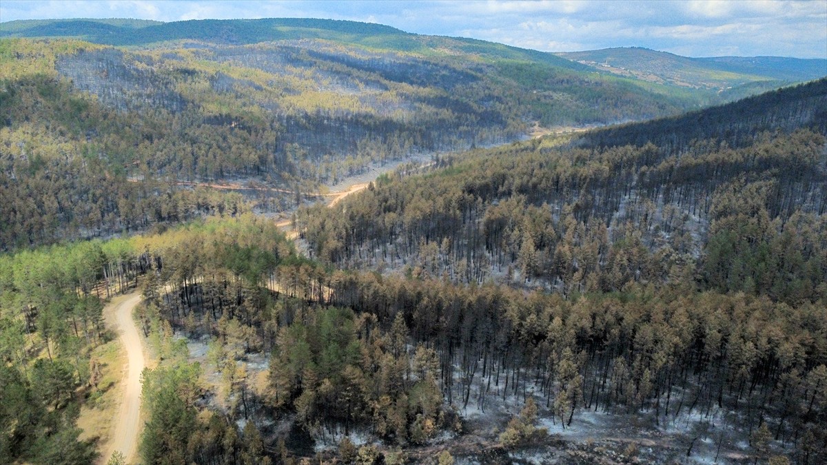 Karabük'ün Eflani ilçesinde çıkan ve büyük ölçüde kontrol altına alınan yangında zarar gören...