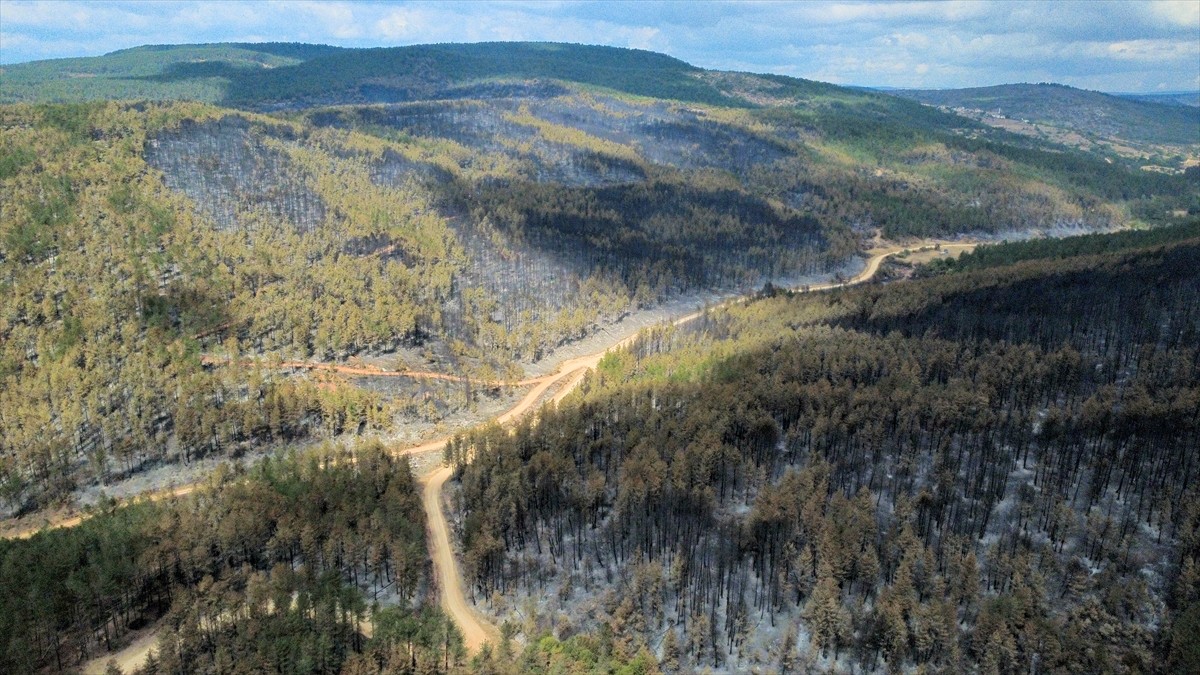 Karabük'ün Eflani ilçesinde çıkan ve büyük ölçüde kontrol altına alınan yangında zarar gören...