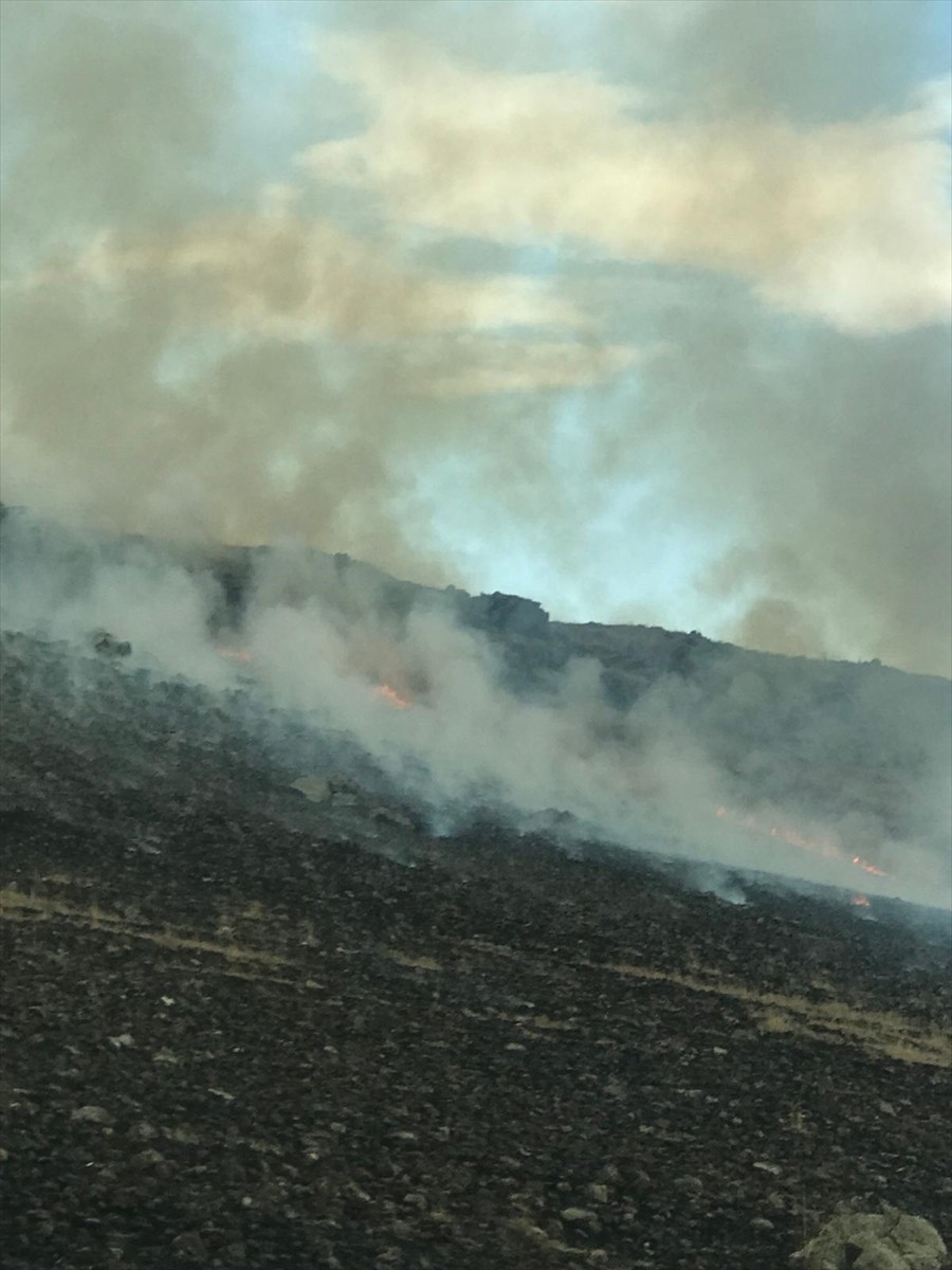 Kars'ta askeri tatbikat alanında çıkan anız yangını söndürüldü.