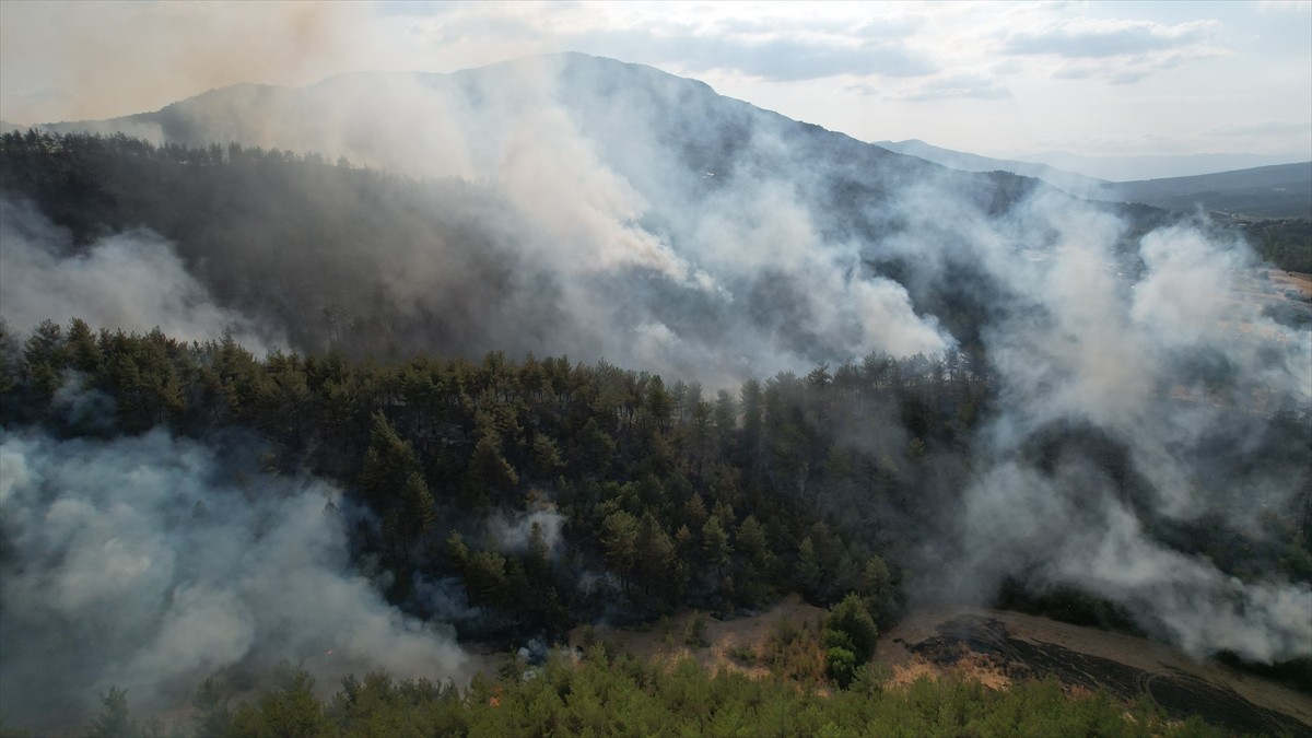 Kastamonu'nun Araç ilçesi Karabük sınırında ormanlık alanda yangın çıktı. Akgeçit köyü Karasu...