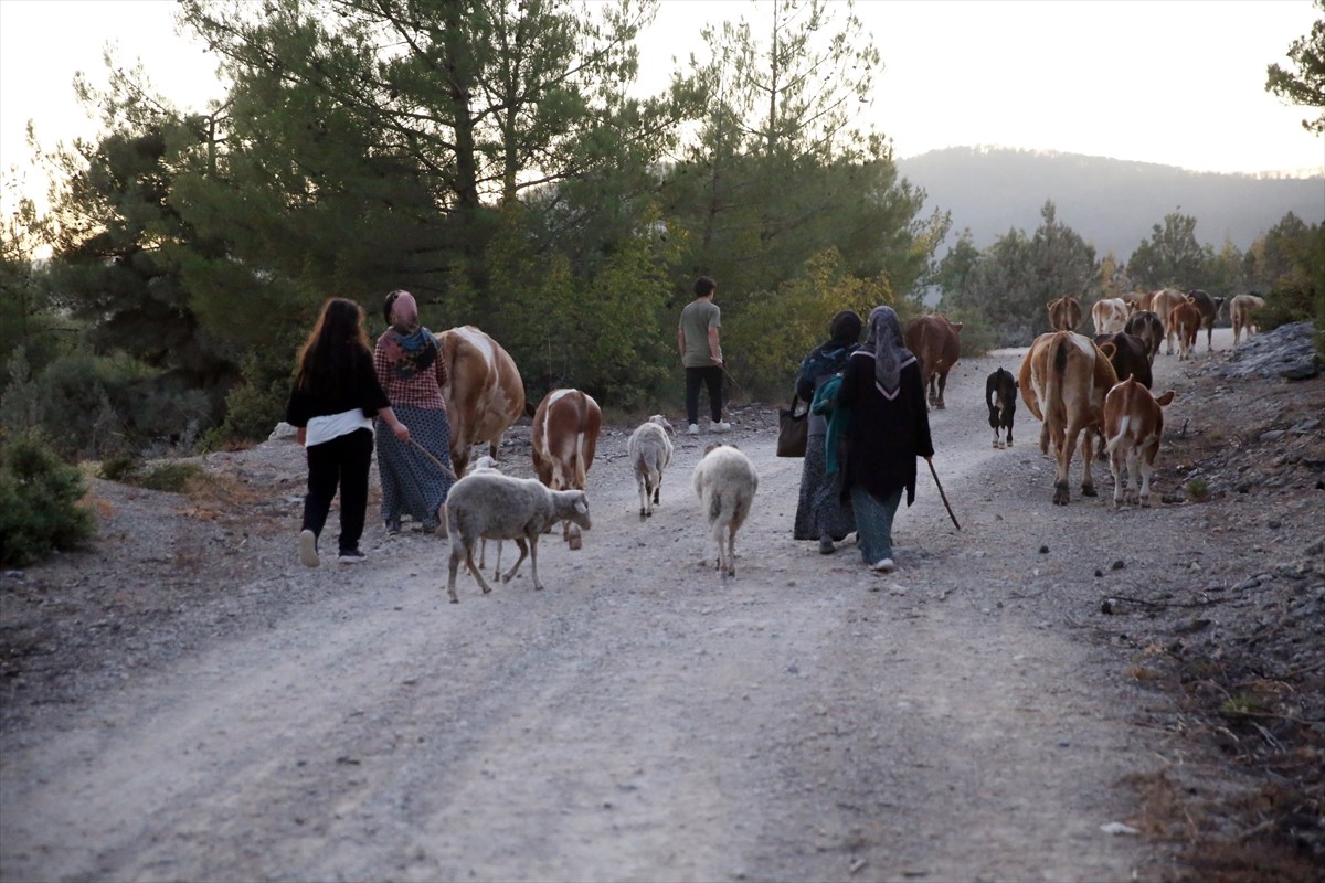 Kastamonu-Karabük sınırındaki iki orman yangını kontrol altına alındı. Tahliye edilen vatandaşlar...