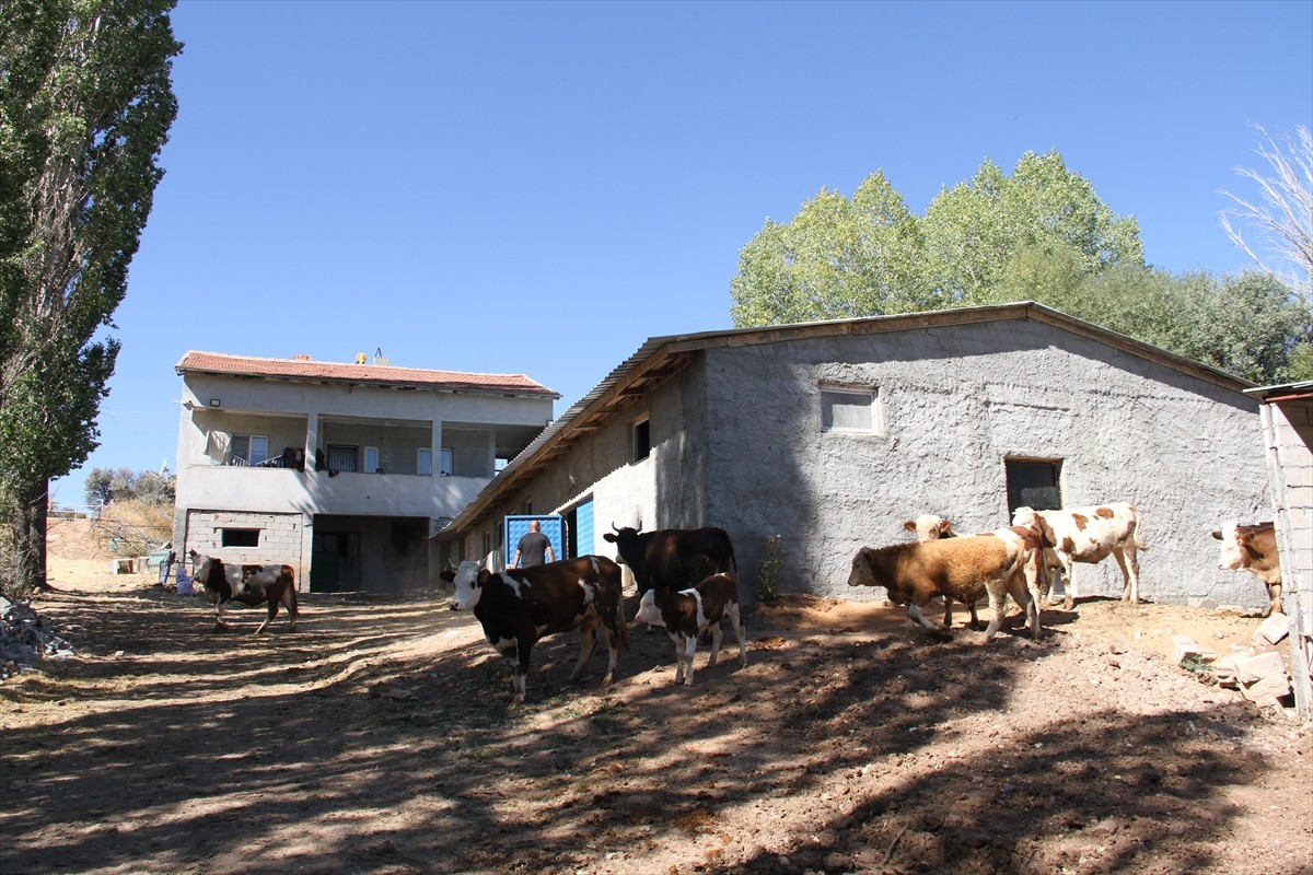 Kayseri'nin Felahiye ilçesinde yaşayan 55 yaşındaki eski hükümlü Oğuz Abbas, devlet desteğiyle 4...