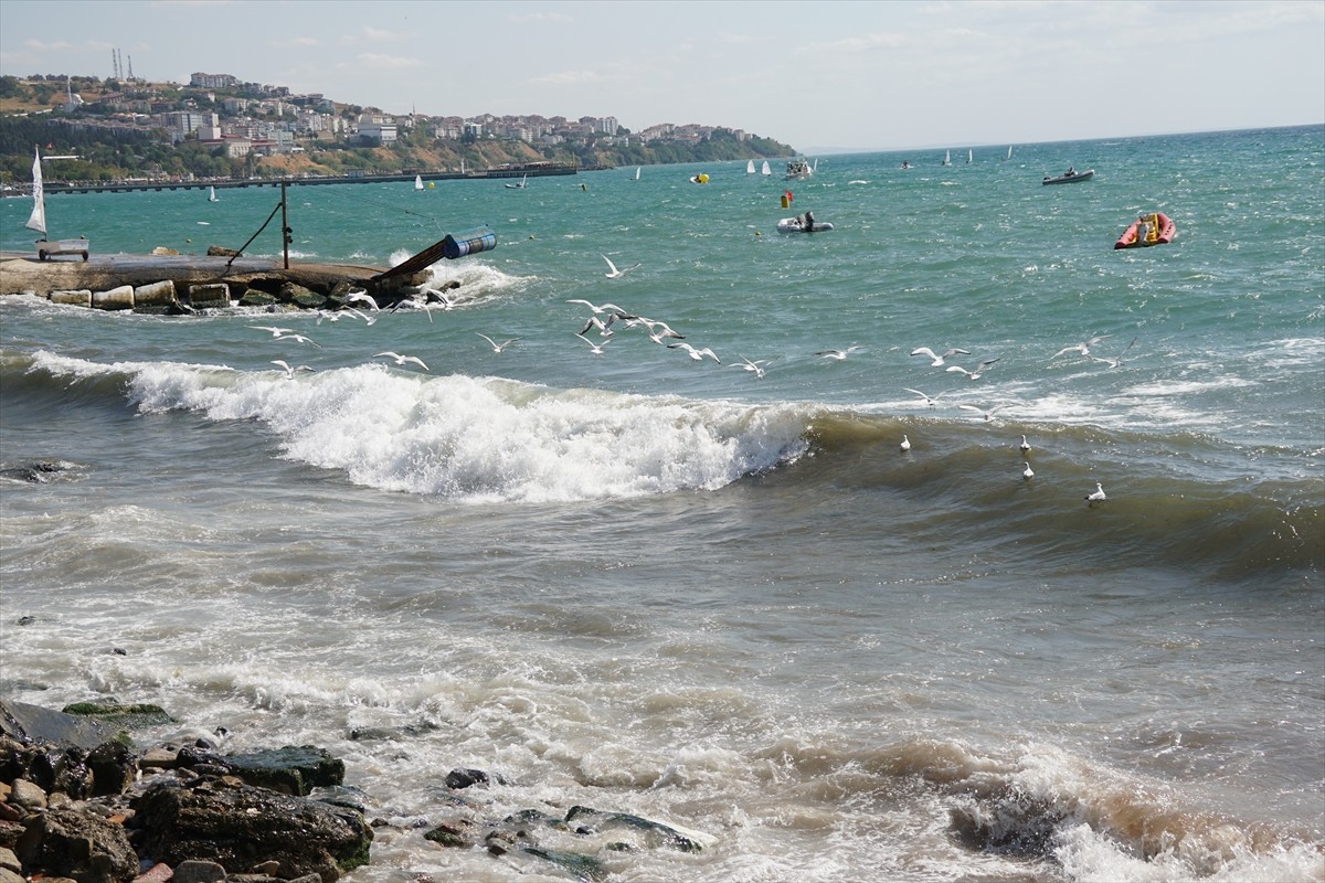 Marmara Denizi'nde 2 gündür etkili olan poyraz, Tekirdağ'da deniz ulaşımında aksamalara neden...