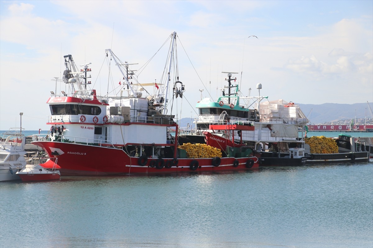 Marmara Denizi'nde 2 gündür etkili olan poyraz, Tekirdağ'da deniz ulaşımında aksamalara yol açtı....