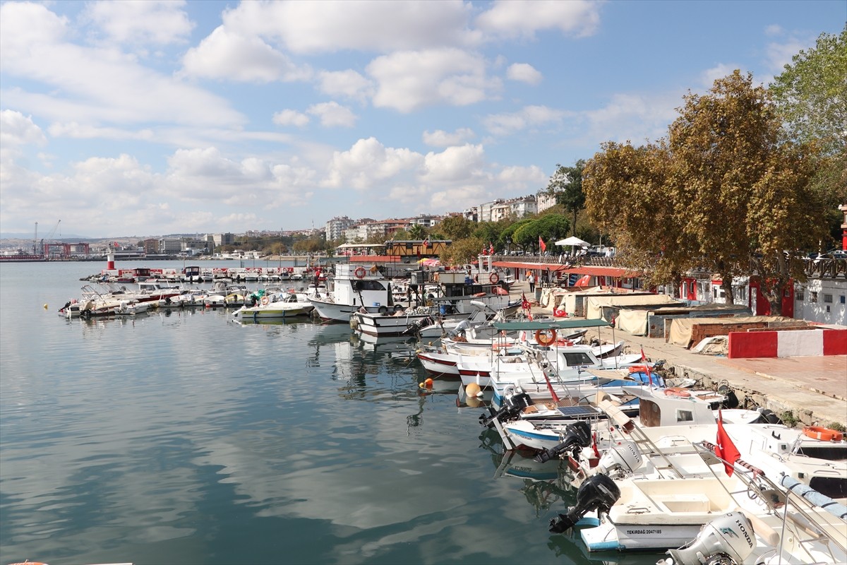 Marmara Denizi'nde avlanmayı sürdüren Tekirdağlı balıkçıların yüzü istavritle gülüyor. Balıkçı...