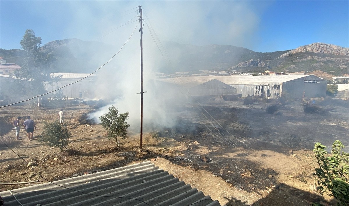 Mersin'in Bozyazı ilçesinde elektrik telinin kopması sonucu serada çıkan yangın...