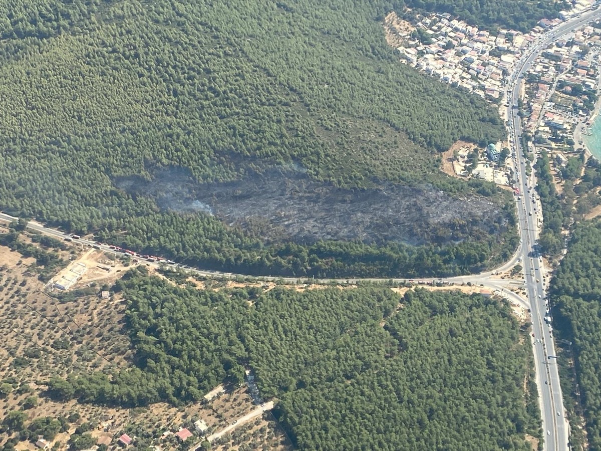 Muğla'nın Bodrum ilçesinde çıkan orman yangını, havadan ve karadan müdahaleyle kontrol altına...