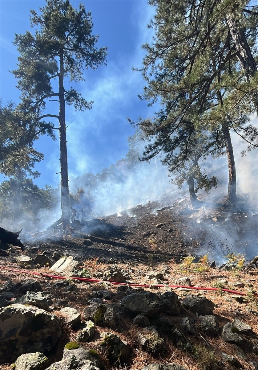 Muğla'nın Köyceğiz ilçesinde çıkan orman yangını, havadan ve karadan müdahaleyle kontrol altına...