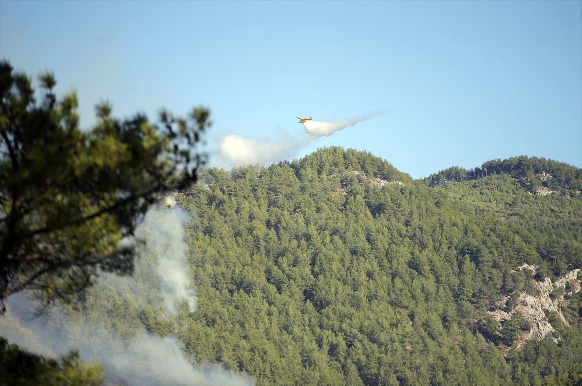 Muğla'nın Köyceğiz ilçesinde çıkan orman yangınına müdahale ikinci günde sürüyor. Gece boyu kara...