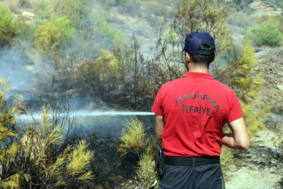 Muğla'nın Köyceğiz ilçesinde çıkan orman yangınına müdahale ikinci günde sürüyor. Köyceğiz Pınar...