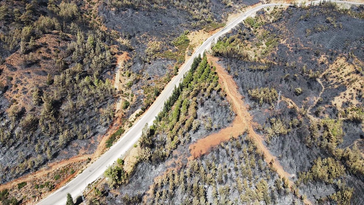 Muğla’nın Köyceğiz ilçesinde orman yangınında zarar gören alanlar havadan görüntülendi.