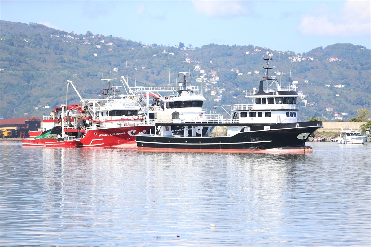 Ordu'da balıkçıların kasaları hamsiyle doldu taştı. Balıkçıların limana dönmelerinin ardından...