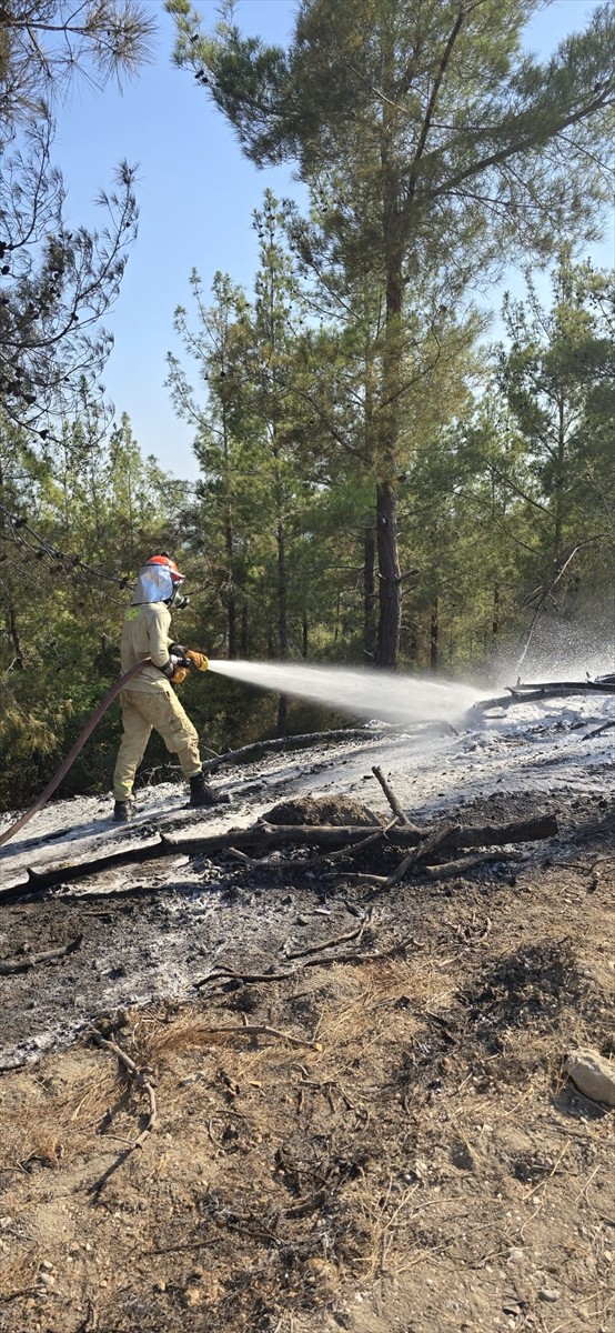 Osmaniye'nin Kadirli ilçesinde çıkan orman yangını, karadan ve havadan müdahaleyle...