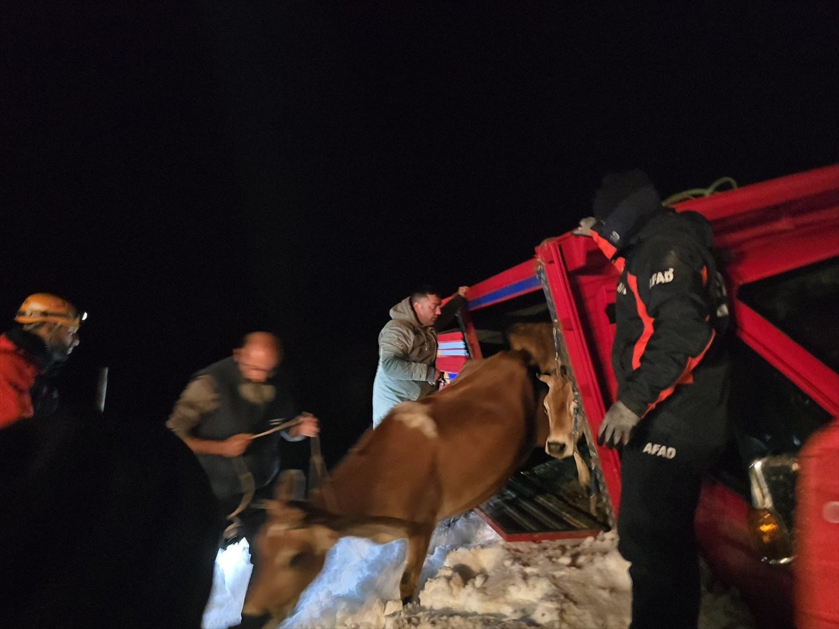 Rize'nin Çamlıhemşin ilçesine bağlı Trovit Yaylası'nda çığ nedeniyle mahsur kalan 15 kişi...