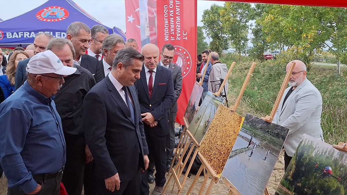 Samsun'un Bafra ilçesinde 11. Çeltik Hasat Günü etkinliği gerçekleştirildi. Bafra Kaymakamı...