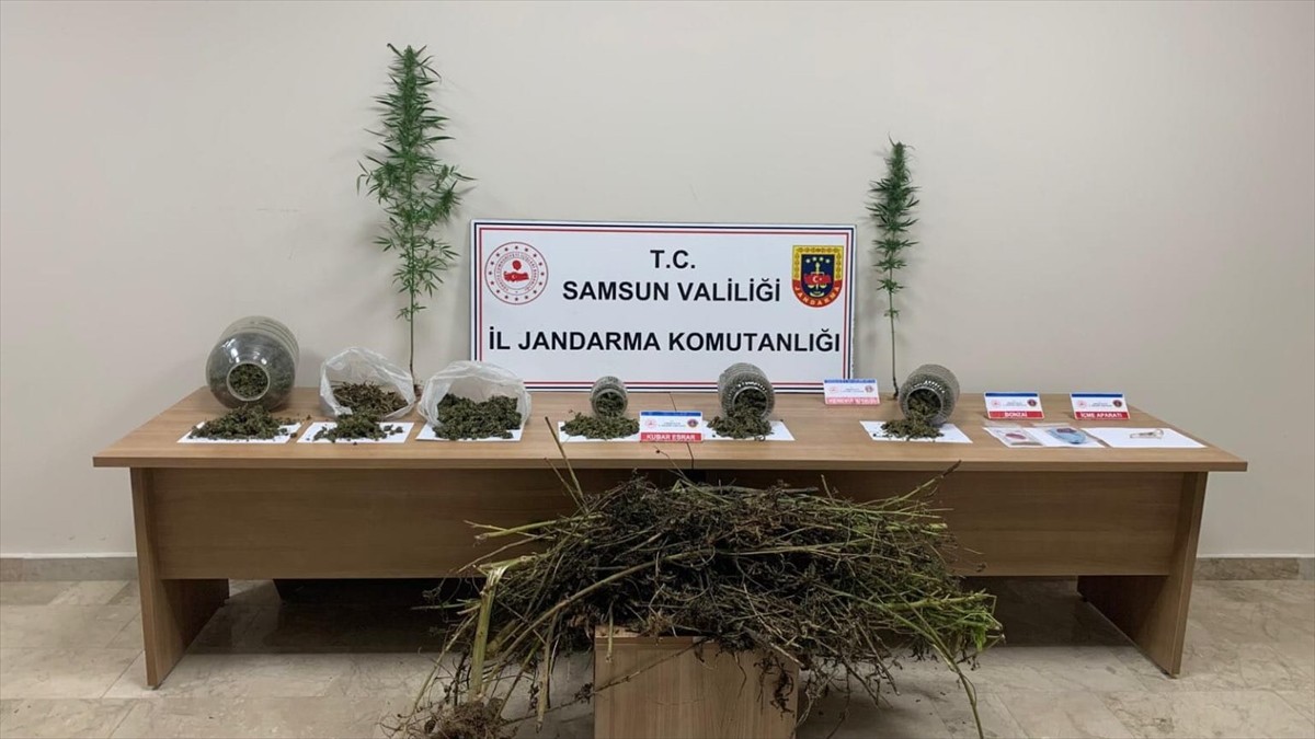 Samsun'un Terme ilçesinde düzenlenen operasyonda 1 şüpheli gözaltına alındı. Operasyonda 10 kilo...