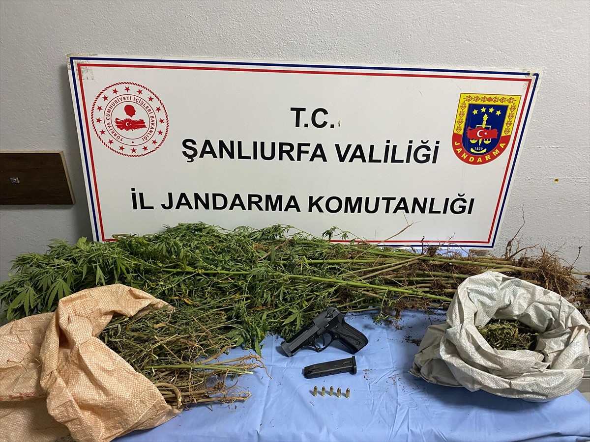 Şanlıurfa'da düzenlenen uyuşturucu operasyonunda 8 şüpheli gözaltına alındı. Adreslerde yapılan...