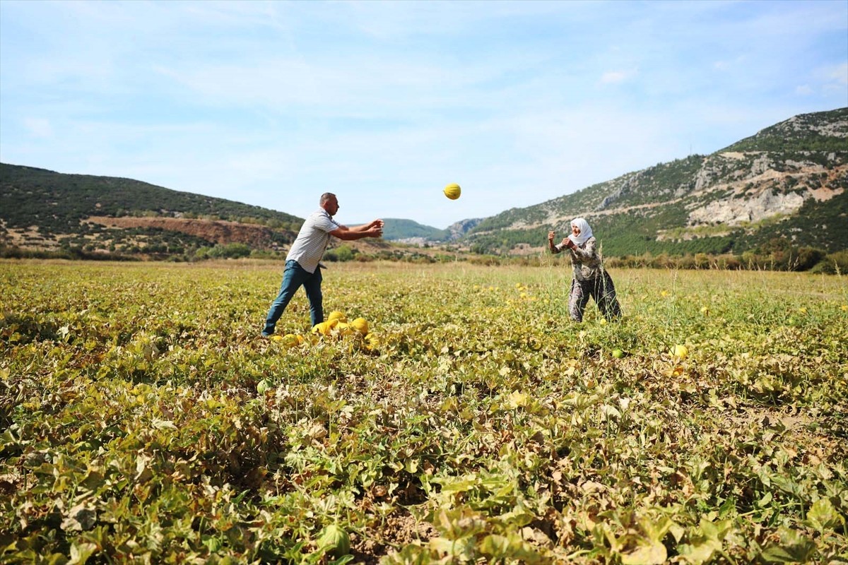 Serin havası, çınar ağaçlarıyla kaplı yolları, yöresel yemekleri ve kültürel yaşantısıyla öne...