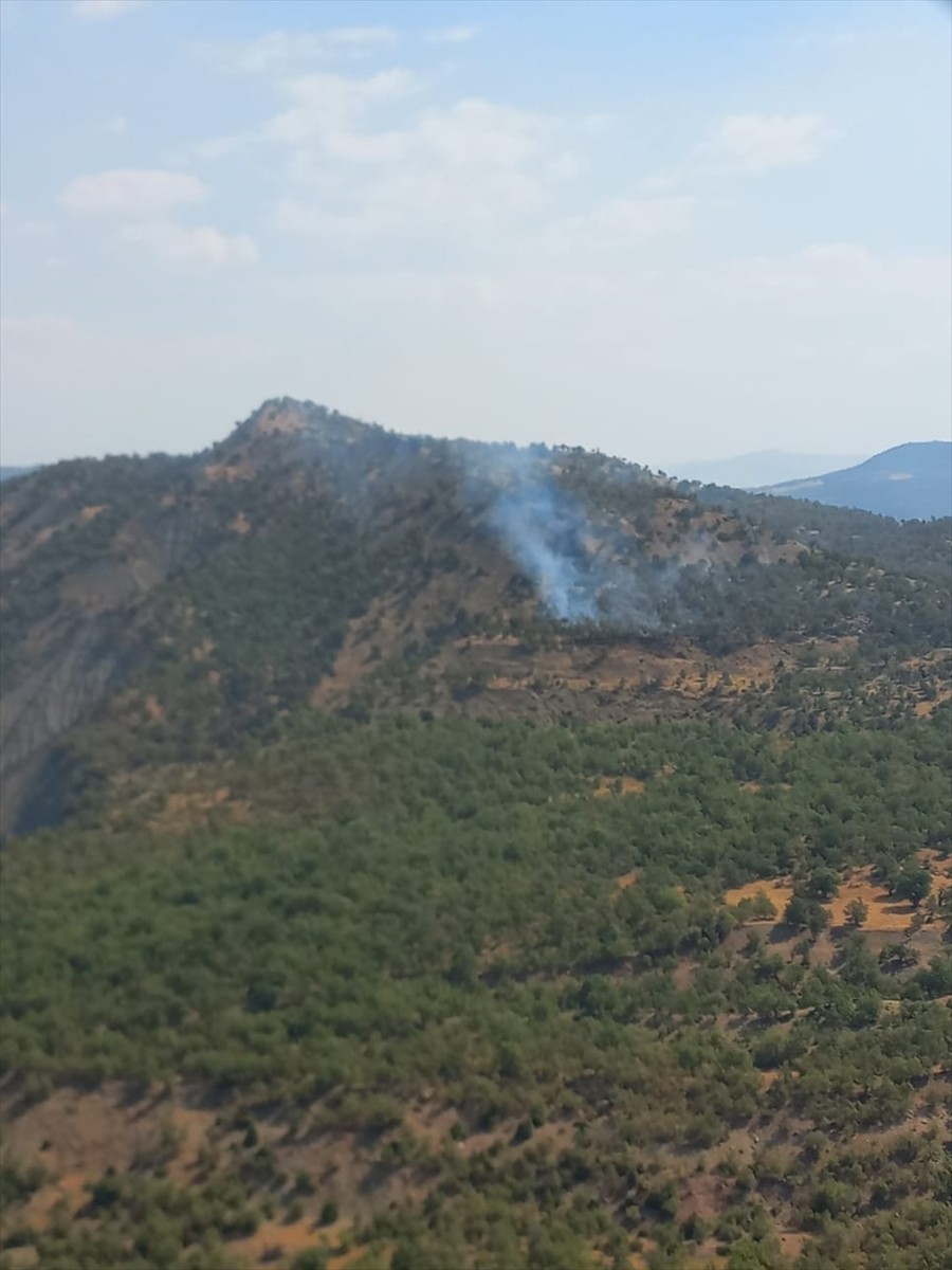 Şırnak'ta Bestler Dereler bölgesinde çıkan örtü ve orman yangınına, havadan ve karadan müdahale...