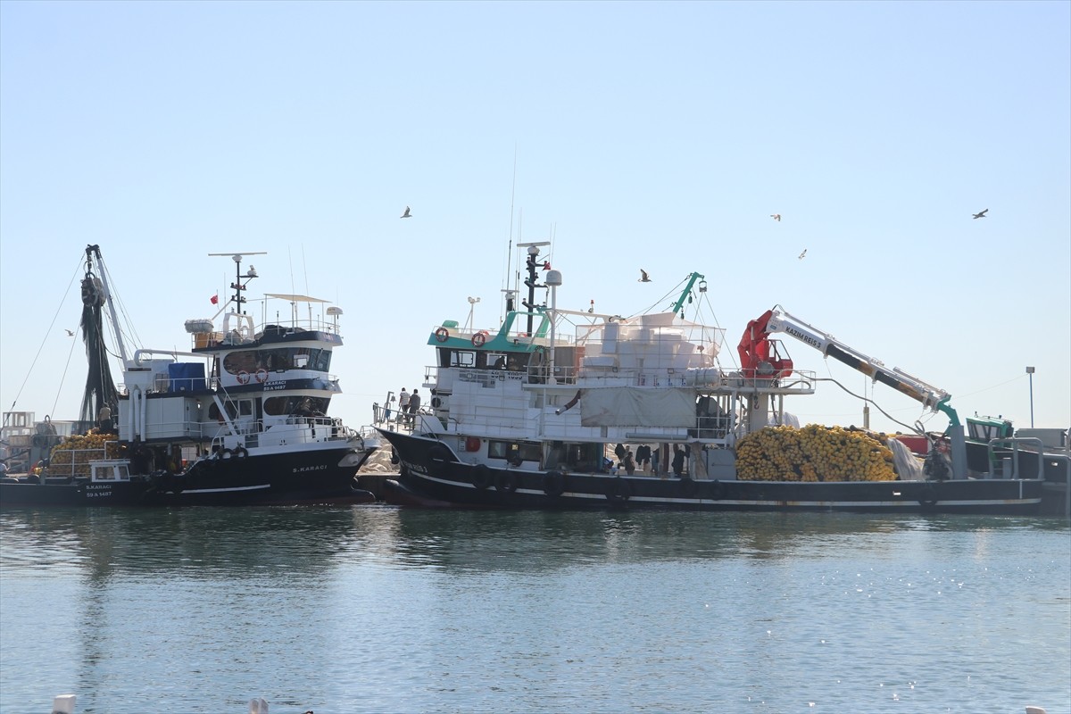 Tekirdağ'da iki gündür etkili olan poyraz nedeniyle denize açılamayan balıkçılar, rüzgarın...