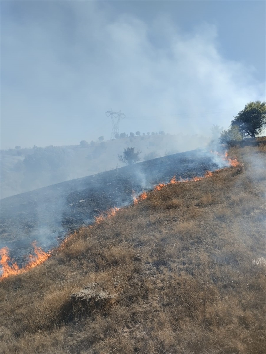 Tokat'ın Artova ilçesinde makilik alanda çıkan yangın söndürülmeye çalışılıyor.
