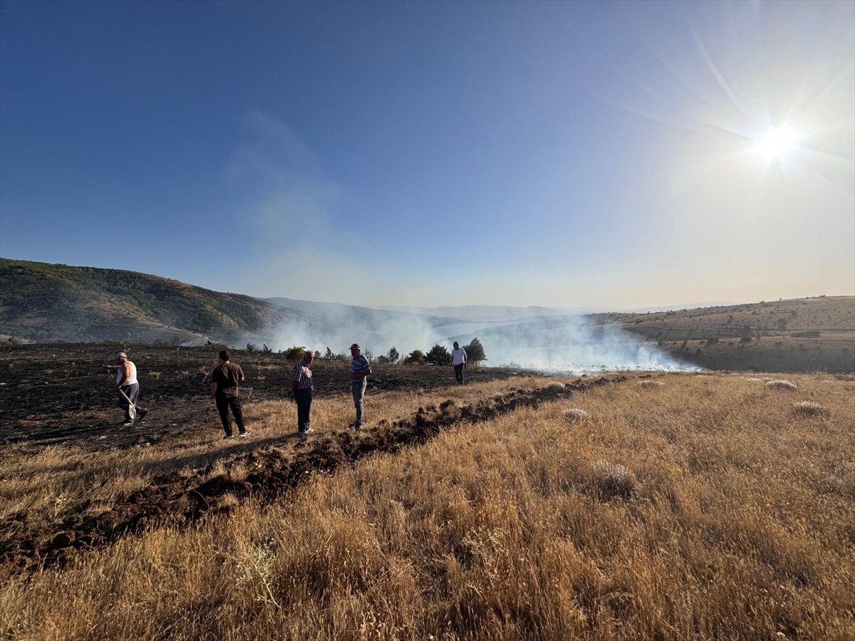 Tokat'ta çıkan orman yangını ekiplerin müdahalesiyle söndürülürken yangında yaklaşık 2 hektarlık...
