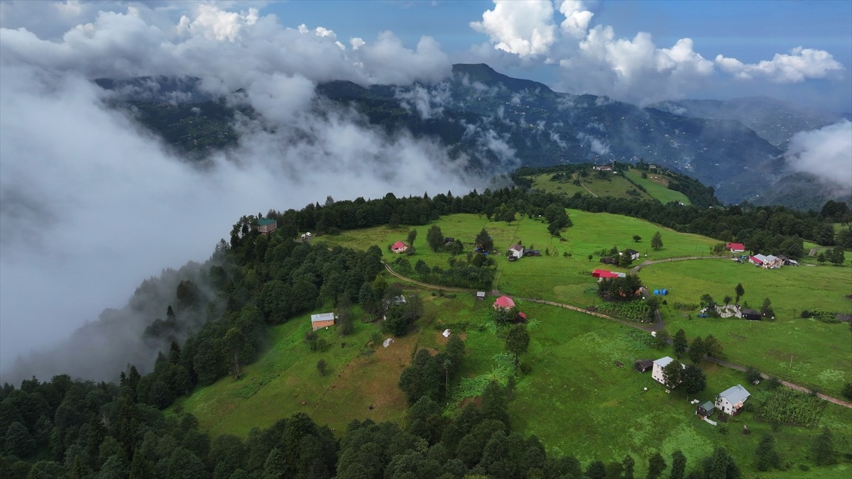 Trabzon'un yüksek kesimlerinde yağmur sonrasında sis oluştu. Tonya ilçesine yaklaşık 9 kilometre...