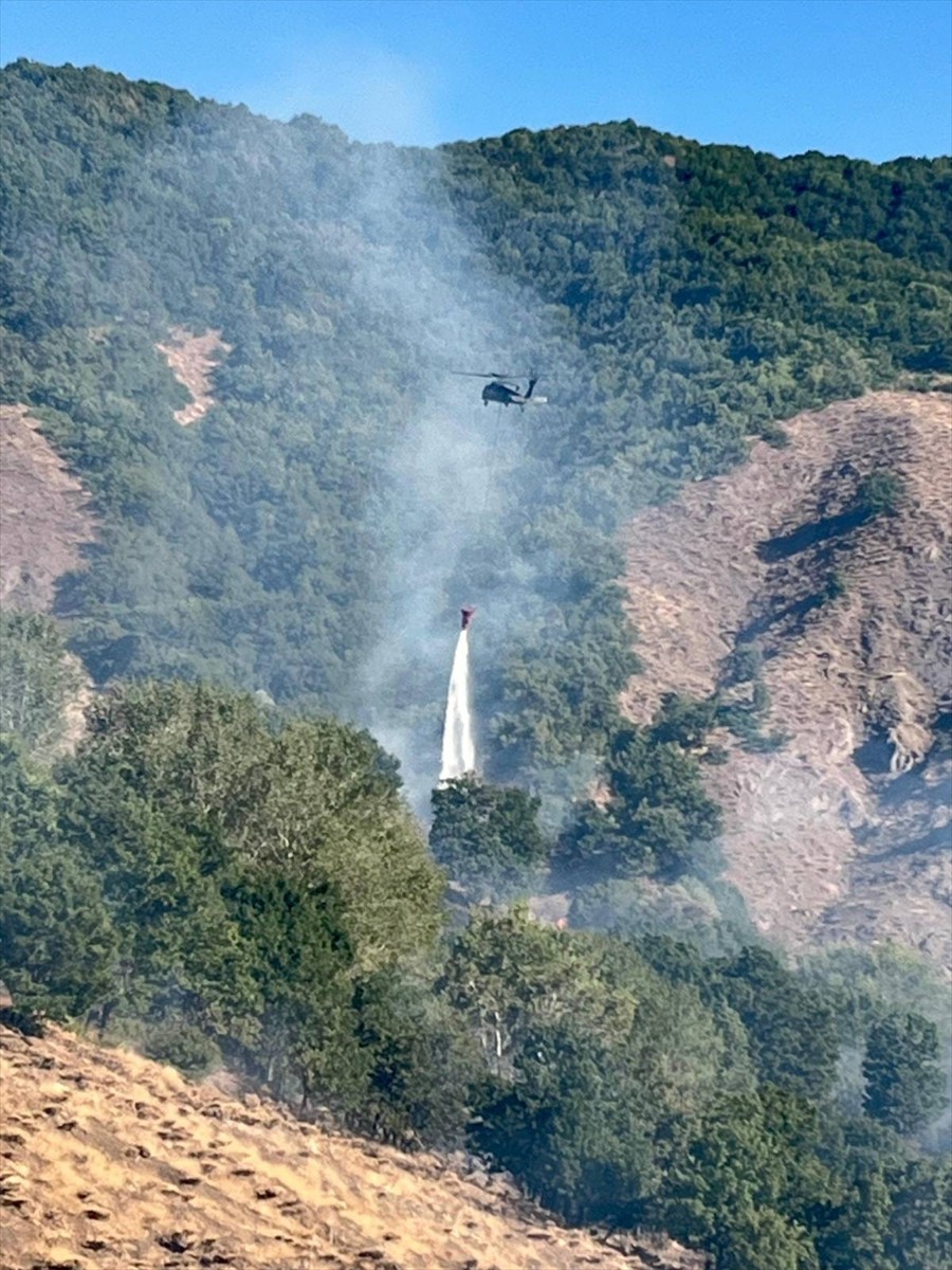 Tunceli'nin Nazımiye ilçesinde ormanlık alanda çıkan yangın kontrol altına alındı.