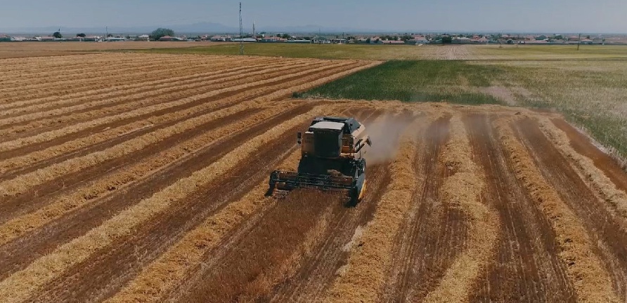 Türkiye'de Atıl Araziler Kiralanıyor: Devlet harekete geçti