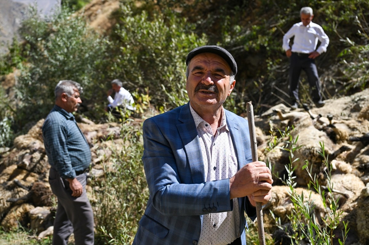Van'ın Çatak ilçesinde kayalık alandan düşen 334 küçükbaş hayvan telef oldu.
