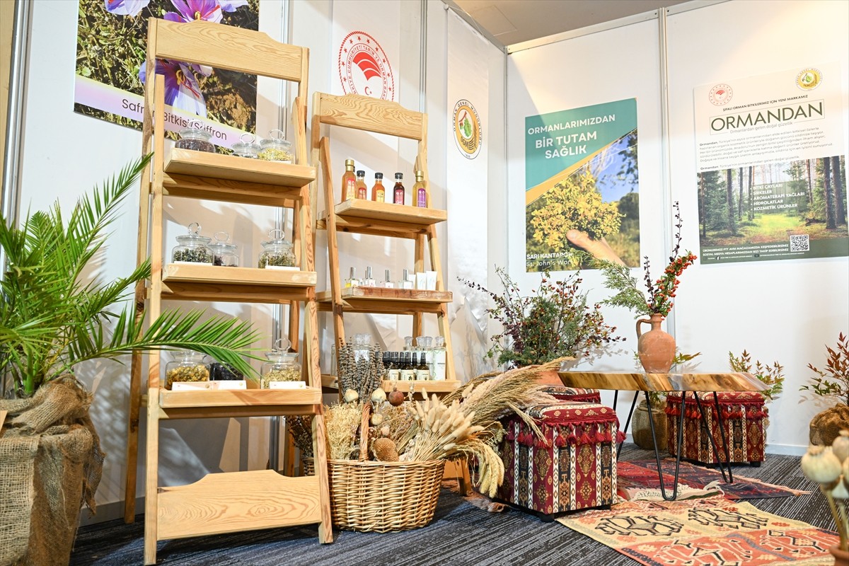 Anadolu Ajansının (AA) Global İletişim Ortağı olduğu, Orman Genel Müdürlüğü koordinasyonunda...