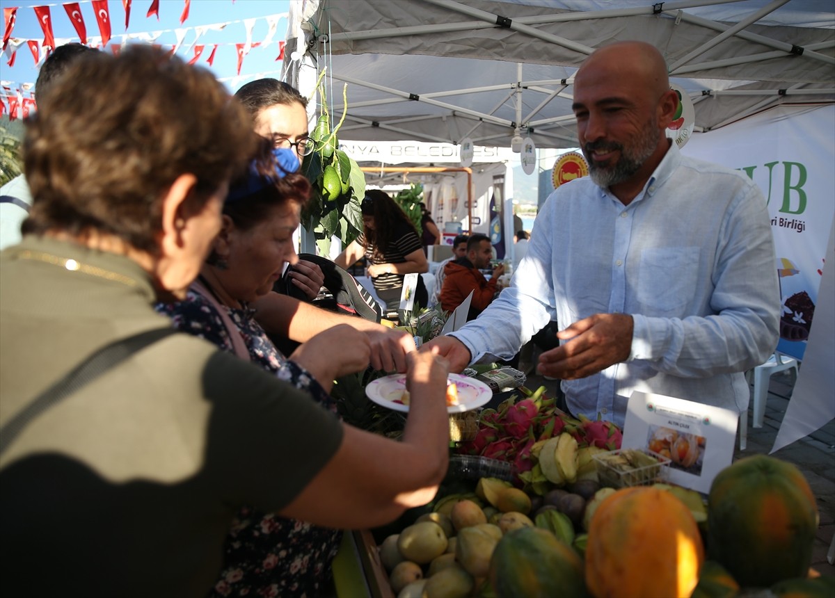 Antalya'nın Alanya ilçesinde bu yıl 4’üncüsü düzenlenen Alanya Tropikal Meyve Festivali başladı....