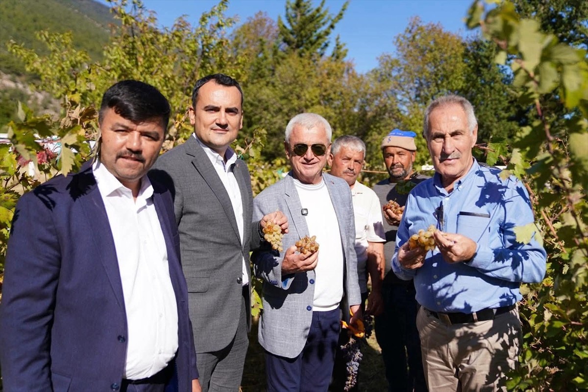 Antalya'nın Finike ilçesinde "2. Yazır Üzümü Şenliği" gerçekleştirildi.