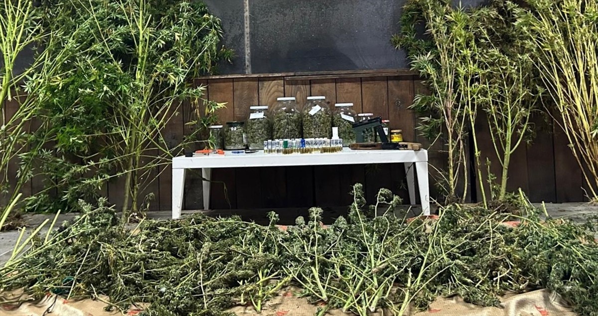 Bursa'nın İnegöl ilçesinde düzenlenen operasyonda, uyuşturucu madde ve silah ele geçirildi....