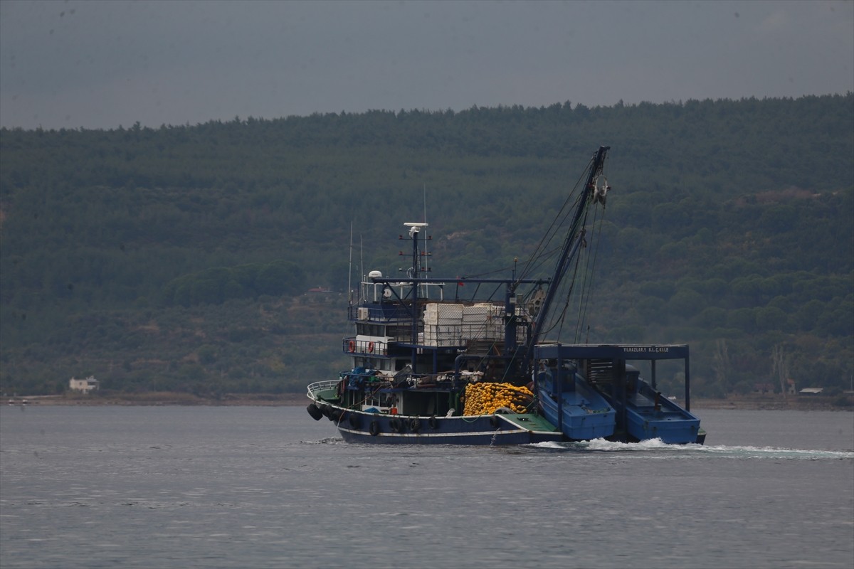 Çanakkale Boğazı'nda balıkçıların av sırasında denizde çırpınırken buldukları Azerbaycan uyruklu...