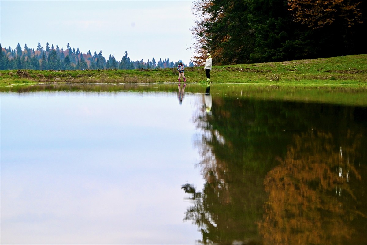 Düzce'nin Pürenli Yaylası, sarı, yeşil ve kahverengi tonlarının hakim olduğu sonbaharda da...