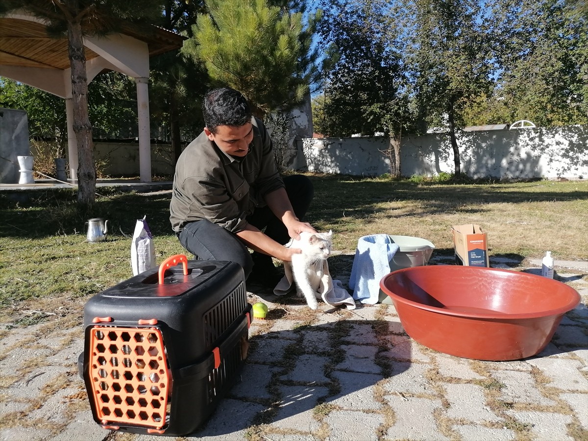 Erzurum'da cami bahçesinde sahip çıktığı kedileri leğende bebek gibi yıkayan imam, hayvan...