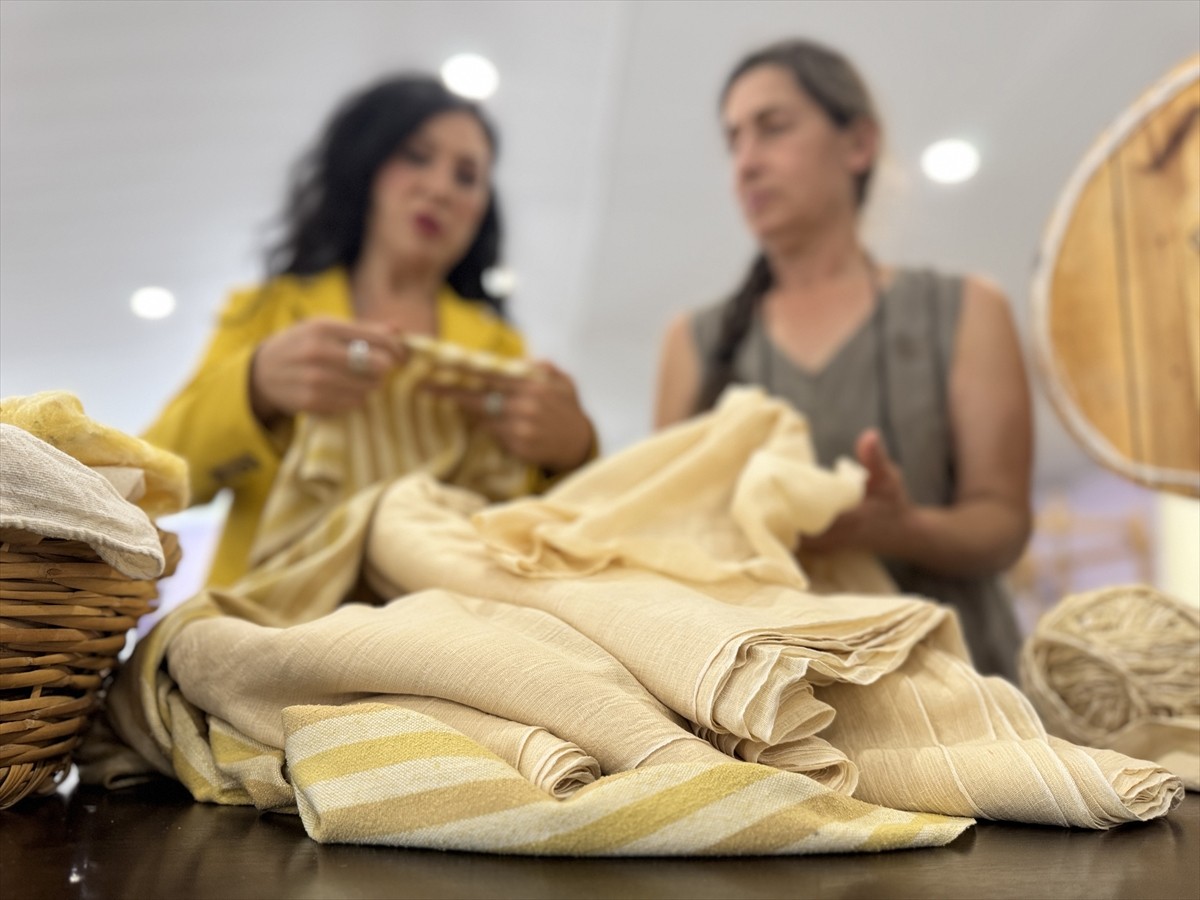 Hatay'da ipek böceği yetiştiricisi Emel Duman, yerel ırk olan "Hatay sarısı"nın buzdolabında...