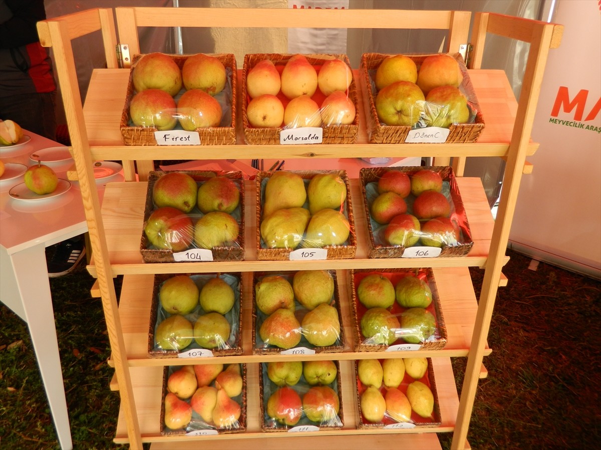 Isparta'nın Eğirdir ilçesinde Tarım ve Orman Bakanlığı Tarımsal Araştırmalar ve Politikalar Genel...