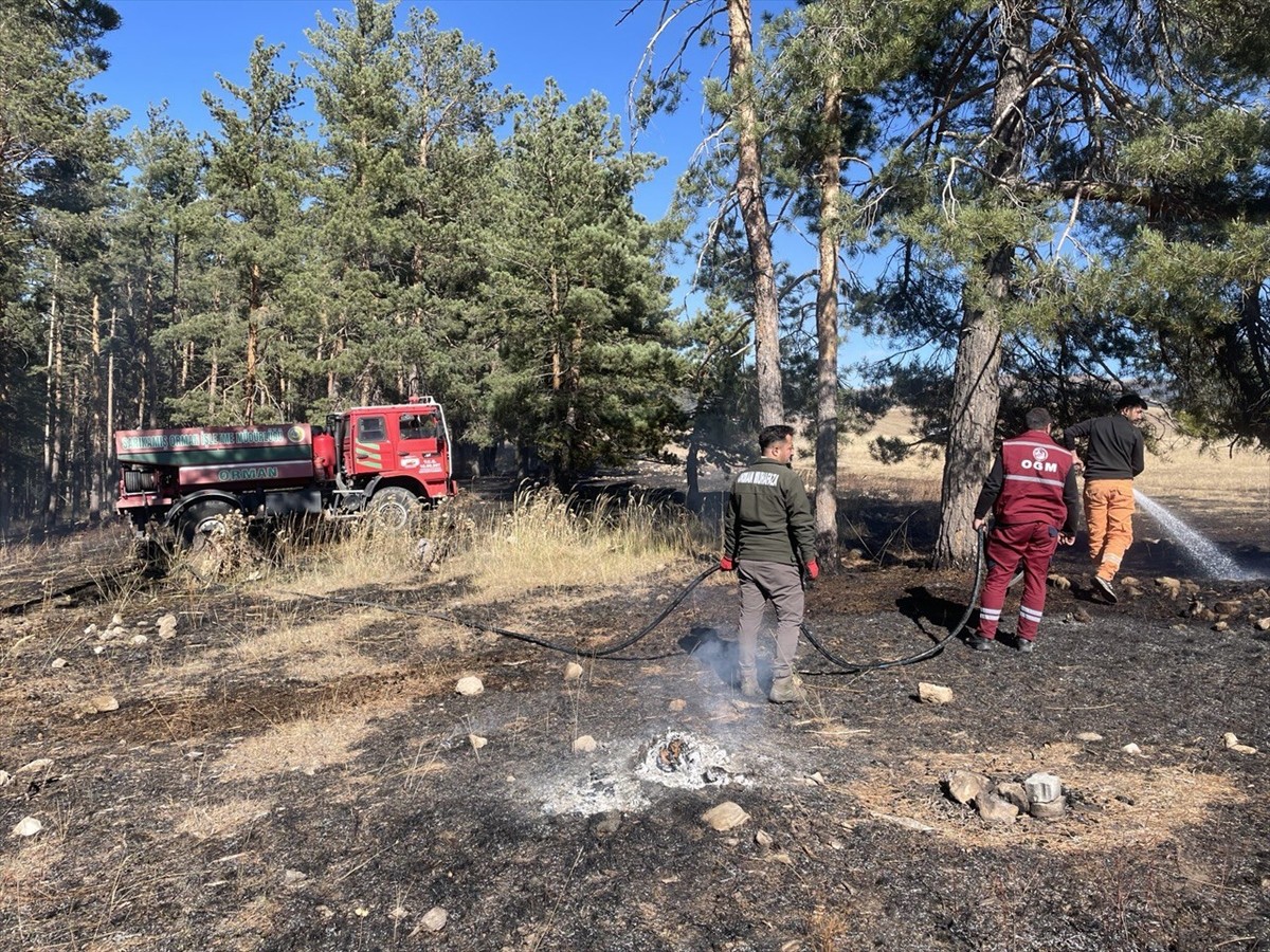 Kars'ın Sarıkamış ilçesinde ormanlık alanda çıkan örtü yangınında yaklaşık 1 hektar alan zarar...