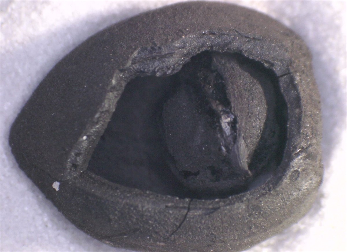 Kültür ve Turizm Bakanlığının desteklediği arkeolojik kazılarda, Anadolu'nun binlerce yıllık sofra...