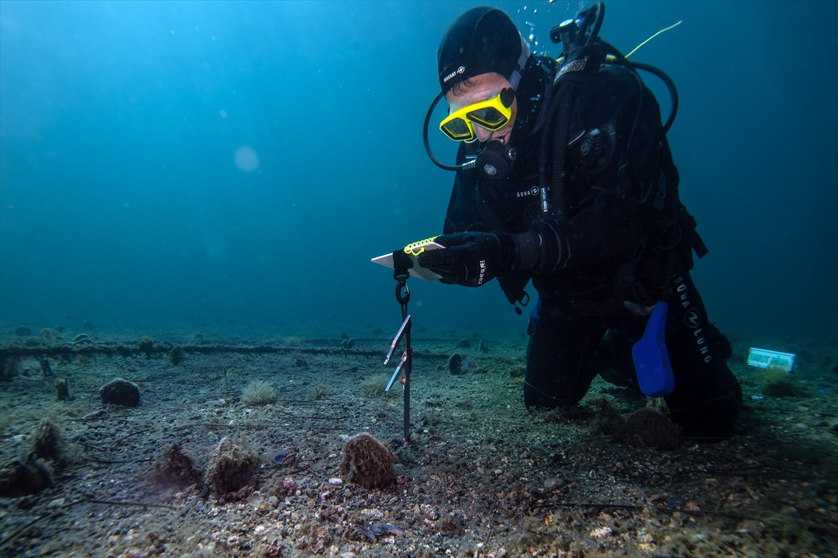 Marmara Denizi son sığınağı haline gelen, saatte 6 litre deniz suyunu filtreleyebilen pina...