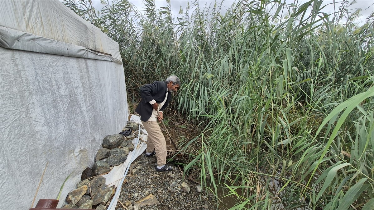 Muğla'nın Ortaca ilçesi Yerbelen Mahallesi'nde 12 kişinin yaşadığı 3 çadırı ilçede etkili olan...