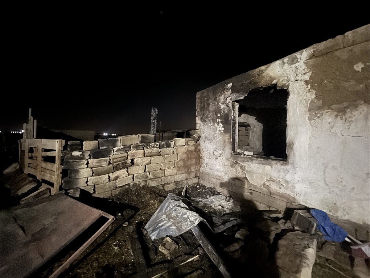 Niğde'nin Bor ilçesinde ahırda çıkan yangında 170 koyun telef oldu. 