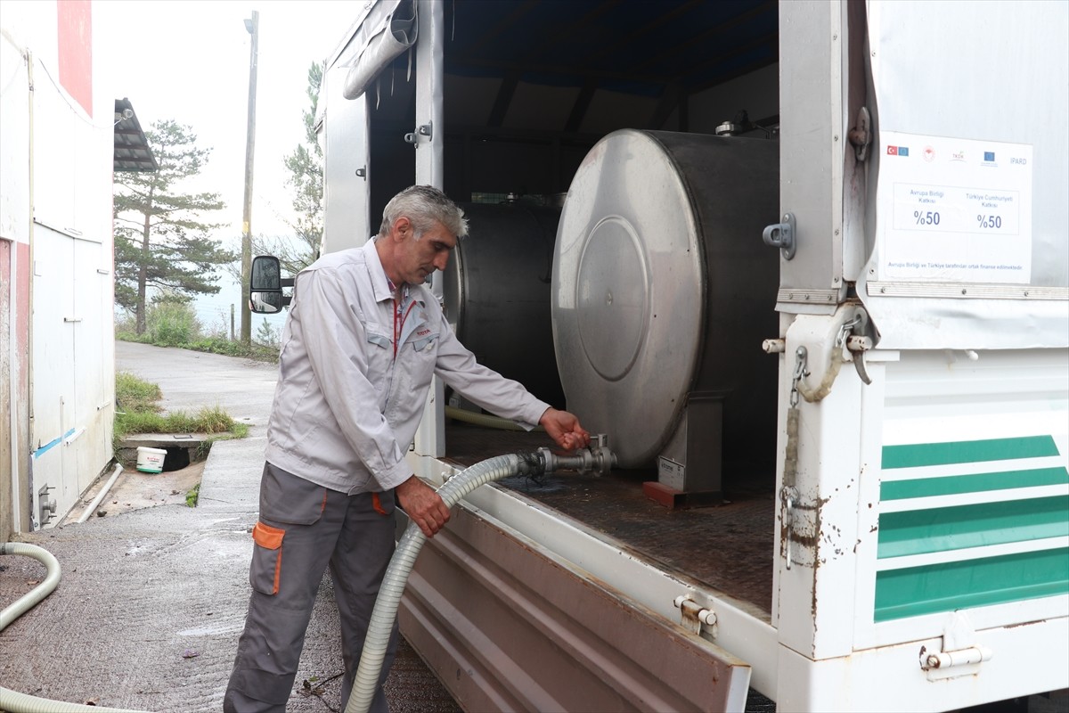 Sakarya'da, Tarım ve Kırsal Kalkınmayı Destekleme Kurumundan (TKDK) alınan yüzde 70 hibe destekle...