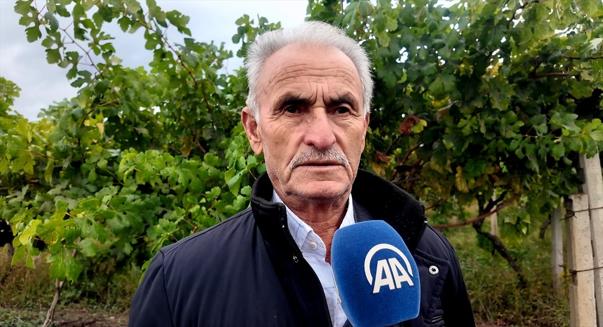 Sakarya'nın Pamukova ilçesinde üzüm üreticileri, hırsızlık olaylarına karşı jandarma ekipleriyle...