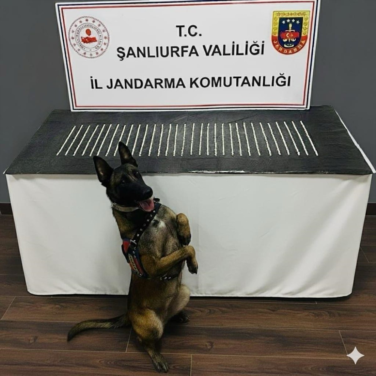 Şanlıurfa'nın Eyyübiye ve Siverek ilçelerinde düzenlenen uyuşturucu operasyonlarında 4 şüpheli...