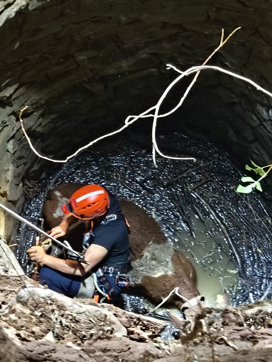 Siirt'in Baykan ilçesinde su kuyusuna düşen inek ekiplerce kurtarıldı.