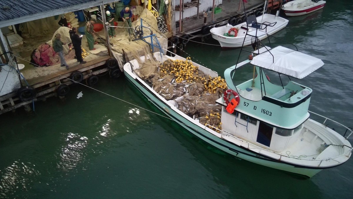 Sinop'un Türkeli ilçesinde denize açılan balıkçılar, bir gecede 3 bin 200 civarında palamut...