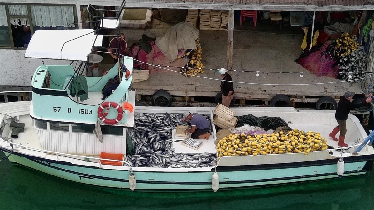 Sinop'un Türkeli ilçesinde küçük teknesiyle denize açılan balıkçı, çok sayıda palamutla kıyıya...